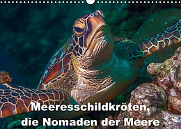 Kalender Meeresschildkröten, die Nomaden der Meere (Wandkalender 2023 DIN A3 quer) von Dieter Gödecke