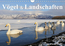 Kalender Vögel &amp; Landschaften (Wandkalender 2023 DIN A4 quer) von birdimagency.com