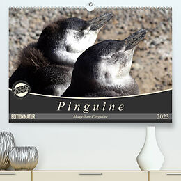 Kalender Magellan-Pinguine (Premium, hochwertiger DIN A2 Wandkalender 2023, Kunstdruck in Hochglanz) von Flori0