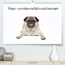 Kalender Mops - unwiderstehlich und charmant (Premium, hochwertiger DIN A2 Wandkalender 2023, Kunstdruck in Hochglanz) von Fotodesign Verena Scholze