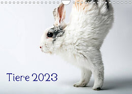 Kalender Tiere 2023 (Wandkalender 2023 DIN A4 quer) von Wolfgang Zwanzger