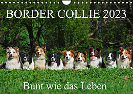 Kalender Border Collie 2023 (Wandkalender 2023 DIN A4 quer) von Sigrid Starick