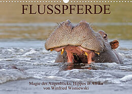 Kalender Flusspferde Magie des Augenblicks - Hippos in Afrika (Wandkalender 2023 DIN A3 quer) von Winfried Wisniewski