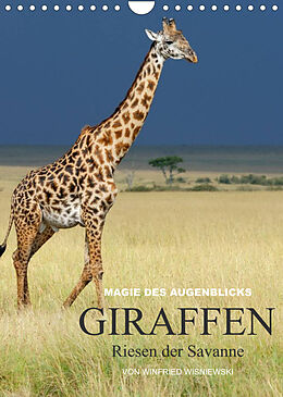 Kalender Magie des Augenblicks - Giraffen - Riesen der Savanne (Wandkalender 2023 DIN A4 hoch) von Winfried Wisniewski