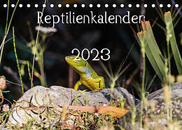 Kalender Reptilienkalender 2023 (Tischkalender 2023 DIN A5 quer) von Fotos, Michael Zill