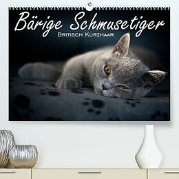 Kalender Bärige Schmusetiger - Britisch Kurzhaar (Premium, hochwertiger DIN A2 Wandkalender 2023, Kunstdruck in Hochglanz) von Inge Zimmermann-Probst