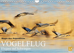 Kalender Magie des Augenblicks - Vogelflug - Eleganz auf Schwingen (Wandkalender 2023 DIN A4 quer) von Winfried Wisniewski