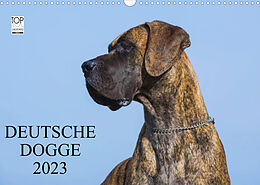 Kalender Deutsche Dogge 2023 (Wandkalender 2023 DIN A3 quer) von Sigrid Starick