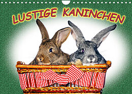 Kalender Lustige Kaninchen (Wandkalender 2023 DIN A4 quer) von www.eugenfoto.eu