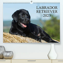 Kalender Labrador Retriever 2023 (Premium, hochwertiger DIN A2 Wandkalender 2023, Kunstdruck in Hochglanz) von Sigrid Starick