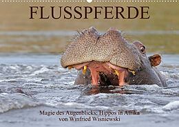Kalender Flusspferde Magie des Augenblicks - Hippos in Afrika (Wandkalender 2023 DIN A2 quer) von Winfried Wisniewski
