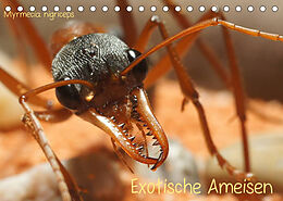 Kalender Exotische Ameisen (Tischkalender 2023 DIN A5 quer) von Roland Störmer