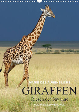 Kalender Magie des Augenblicks - Giraffen - Riesen der Savanne (Wandkalender 2023 DIN A3 hoch) von Winfried Wisniewski