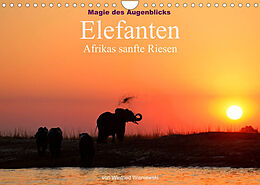 Kalender Magie des Augenblicks - Elefanten - Afrikas sanfte Riesen (Wandkalender 2023 DIN A4 quer) von Winfried Wisniewski