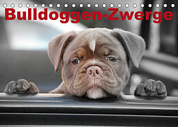 Kalender Bulldoggen-Zwerge (Tischkalender 2023 DIN A5 quer) von Elisabeth Stanzer