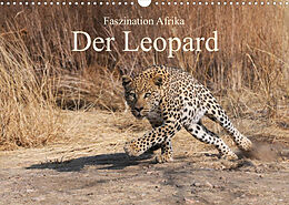Kalender Faszination Afrika: Der Leopard (Wandkalender 2023 DIN A3 quer) von Elmar Weiß