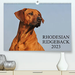 Kalender Rhodesian Ridgeback 2023 (Premium, hochwertiger DIN A2 Wandkalender 2023, Kunstdruck in Hochglanz) von Sigrid Starick