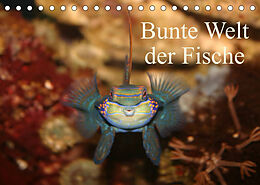Kalender Bunte Welt der Fische (Tischkalender 2023 DIN A5 quer) von Barbara Mielewczyk