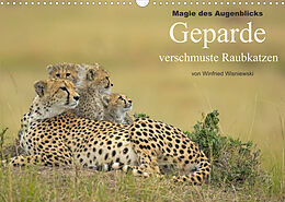 Kalender Magie des Augenblicks: Geparde - verschmuste Raubkatzen (Wandkalender 2023 DIN A3 quer) von Winfried Wisniewski