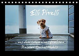 Kalender Elli Pirelli... aus dem Leben eines fröhlichen Pinscher-Dackel-Mädels (Tischkalender 2023 DIN A5 quer) von Kathrin Köntopp