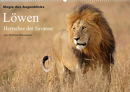 Kalender Magie des Augenblicks - Löwen - Herrscher der Savanne (Wandkalender 2023 DIN A2 quer) von Winfried Wisniewski