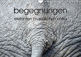 Kalender begegnungen - elefanten im südlichen afrika (Wandkalender 2023 DIN A4 quer) von rsiemer