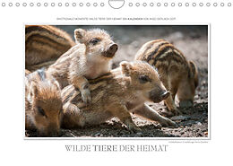 Kalender Emotionale Momente: Wilde Tiere der Heimat. (Wandkalender 2023 DIN A4 quer) von Ingo Gerlach GDT