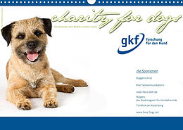 Kalender Charity for Dogs - der Kalender zum Wohle unserer Hunde (Wandkalender 2023 DIN A3 quer) von Hundeimpressionen