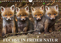 Kalender Füchse in freier Natur (Wandkalender 2023 DIN A4 quer) von Dr. Ulrich Hopp