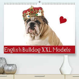 Kalender English Bulldog XXL Models (Premium, hochwertiger DIN A2 Wandkalender 2023, Kunstdruck in Hochglanz) von Elisabeth Stanzer