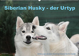 Kalender Siberian Husky - der Urtyp (Wandkalender 2023 DIN A2 quer) von Michael Ebardt