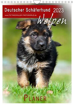 Kalender Deutscher Schäferhund - Welpen, Planer (Wandkalender 2023 DIN A4 hoch) von Petra Schiller
