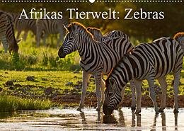 Kalender Afrikas Tierwelt: Zebras (Wandkalender 2023 DIN A2 quer) von Michael Voß