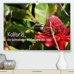 Kalender Kolibris, die schnellsten Wirbeltiere der Welt (Premium, hochwertiger DIN A2 Wandkalender 2023, Kunstdruck in Hochglanz) von M.Polok