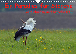 Kalender Ein Paradies für Störche (Wandkalender 2023 DIN A4 quer) von Lutz Klapp