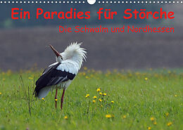 Kalender Ein Paradies für Störche (Wandkalender 2023 DIN A3 quer) von Lutz Klapp
