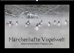 Kalender Märchenhafte Vogelwelt (Wandkalender 2023 DIN A2 quer) von Marvin Lebeus