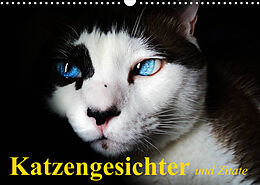 Kalender Katzengesichter und Zitate (Wandkalender 2023 DIN A3 quer) von Elisabeth Stanzer