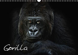 Kalender Gorilla (Wandkalender 2023 DIN A3 quer) von Joachim Pinkawa / Jo.PinX