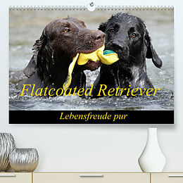 Kalender Flatcoated Retriever (Premium, hochwertiger DIN A2 Wandkalender 2023, Kunstdruck in Hochglanz) von BeaM / Beatrice Müller