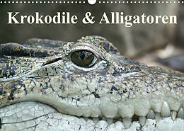 Kalender Krokodile &amp; Alligatoren (Wandkalender 2023 DIN A3 quer) von Elisabeth Stanzer