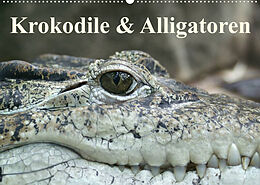 Kalender Krokodile &amp; Alligatoren (Wandkalender 2023 DIN A2 quer) von Elisabeth Stanzer