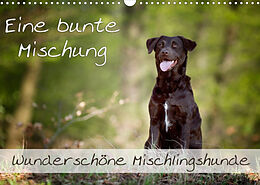 Kalender Eine bunte Mischung - wunderschöne Mischlingshunde / Geburtstagskalender (Wandkalender 2023 DIN A3 quer) von Nicole Noack