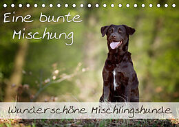 Kalender Eine bunte Mischung - wunderschöne Mischlingshunde / Geburtstagskalender (Tischkalender 2023 DIN A5 quer) von Nicole Noack