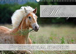 Kalender Haflinger / Geburtstagskalender (Wandkalender 2023 DIN A3 quer) von Nicole Noack