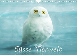 Kalender Süsse Tierwelt / CH-Version / Geburtstagskalender (Wandkalender 2023 DIN A4 quer) von Silvio Schoisswohl