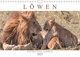 Kalender Löwen - Raubkatzen Afrikas (Wandkalender 2023 DIN A4 quer) von Andreas Lippmann