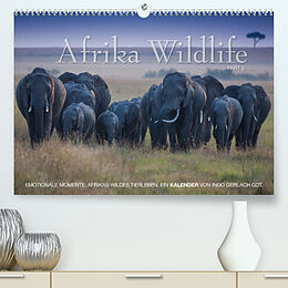 Kalender Emotionale Momente: Afrika Wildlife. Part 3. / CH-Version (Premium, hochwertiger DIN A2 Wandkalender 2023, Kunstdruck in Hochglanz) von Ingo Gerlach GDT