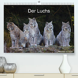 Kalender Der Luchs (Premium, hochwertiger DIN A2 Wandkalender 2023, Kunstdruck in Hochglanz) von Alexander von Düren