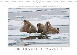 Kalender Emotionale Momente: Die Tierwelt der Arktis / CH-Version (Wandkalender 2023 DIN A4 quer) von Ingo Gerlach GDT